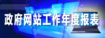 政府網(wǎng)站工作年度報(bào)表