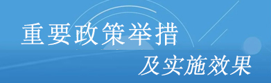 重要政策舉措及實(shí)施效果